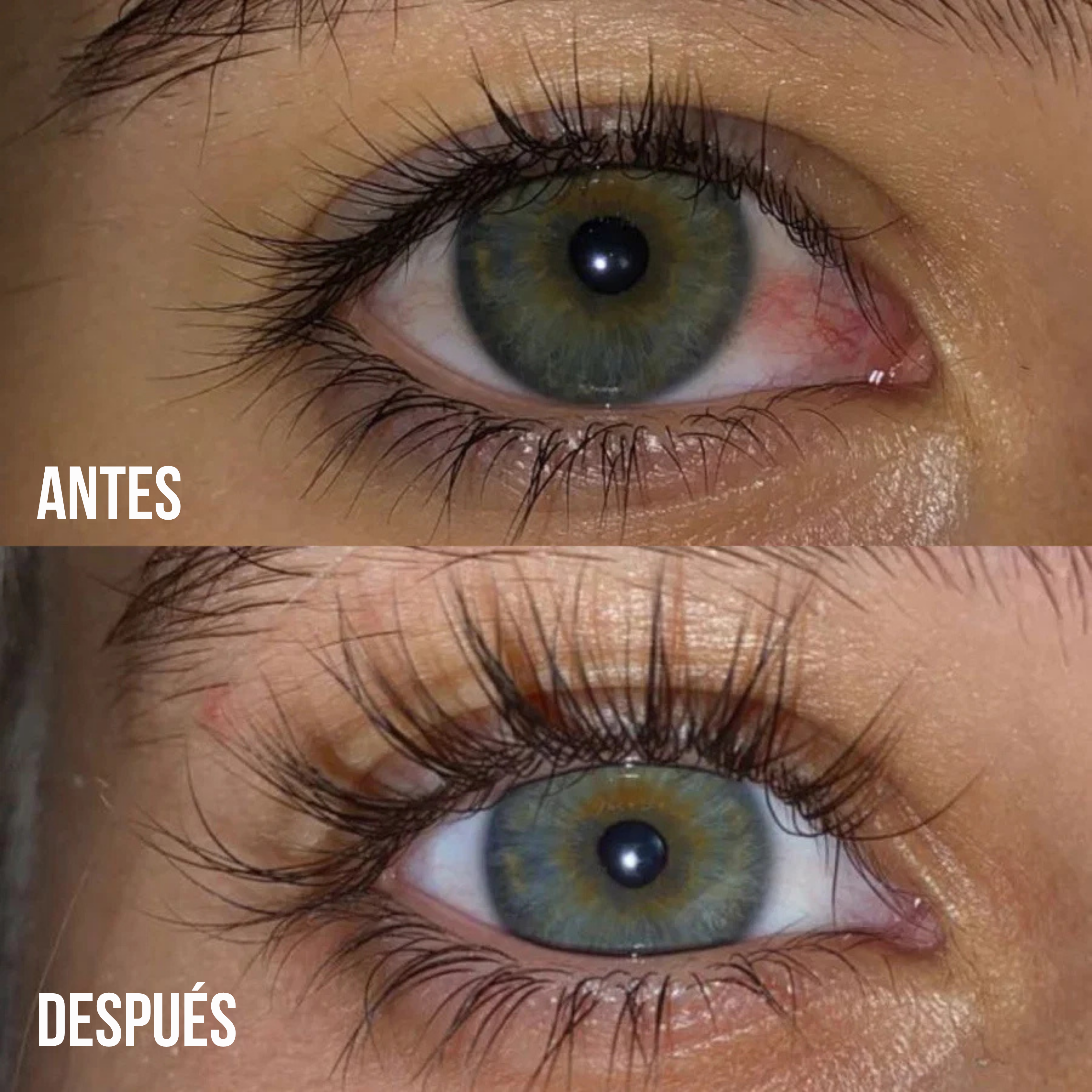 Pure Lash Brow Serum