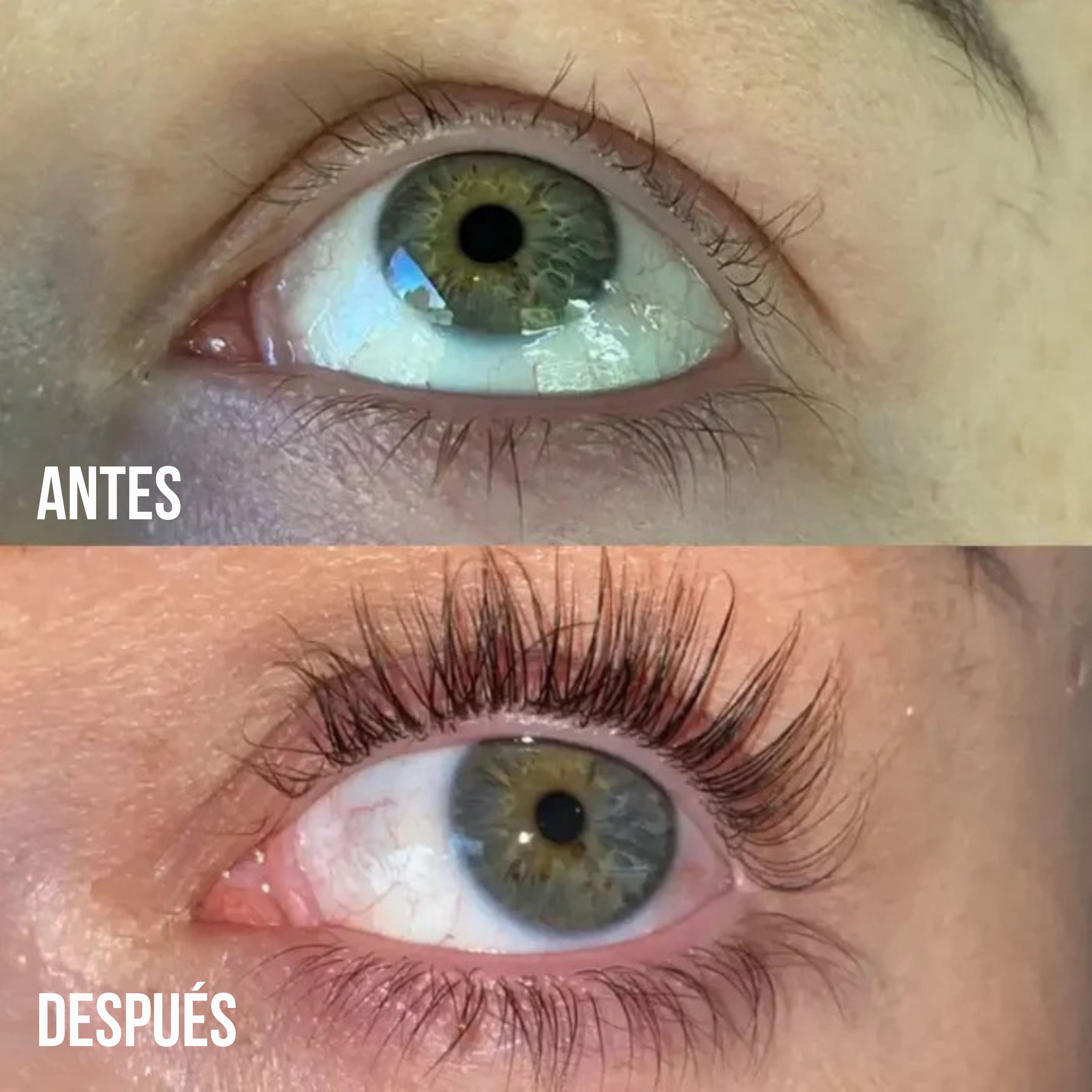 Pure Lash Brow Serum