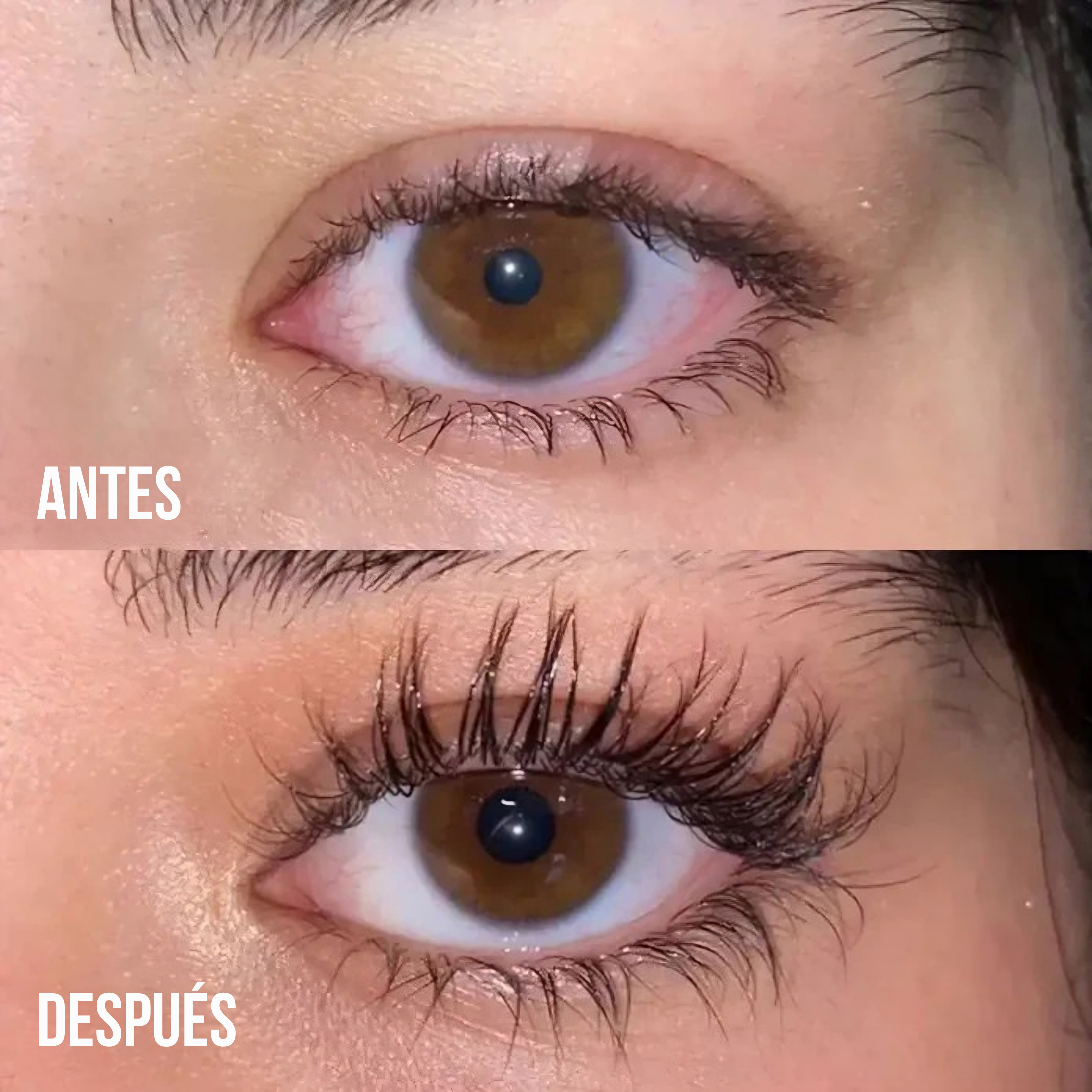 Pure Lash Brow Serum