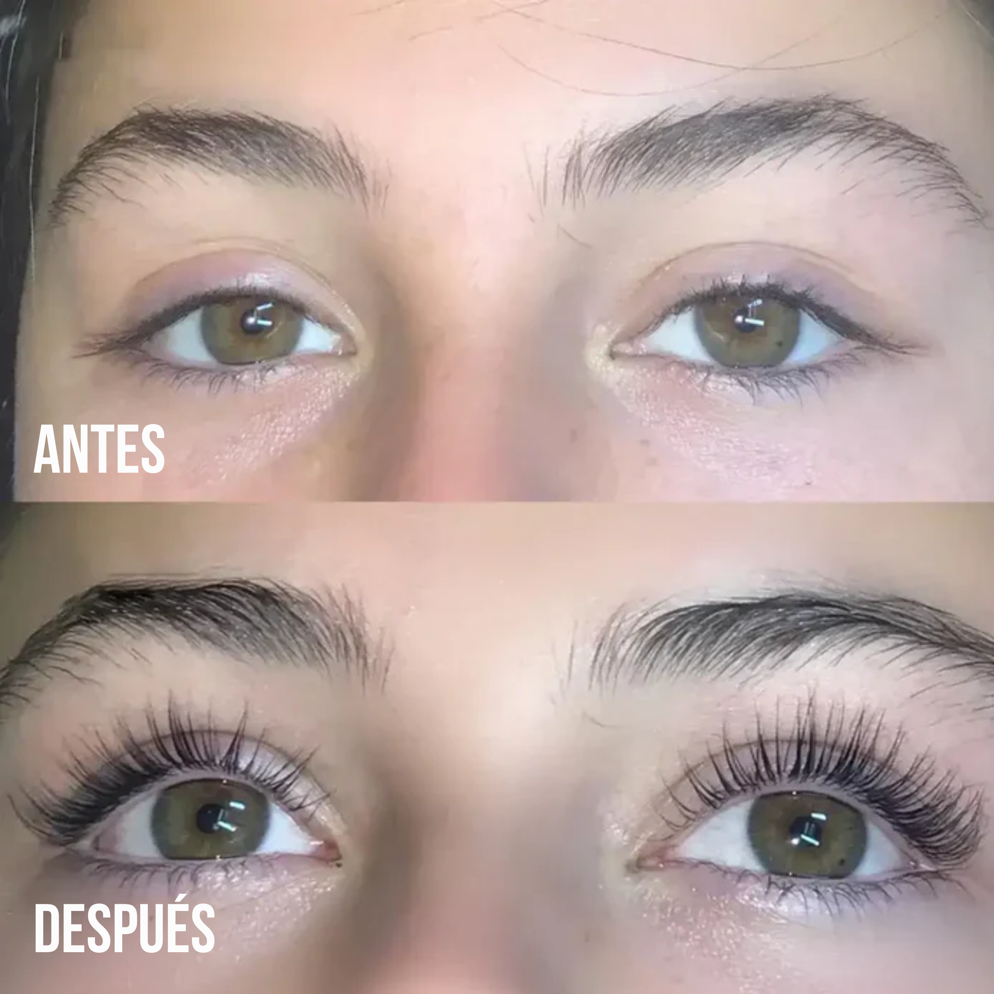 Pure Lash Brow Serum